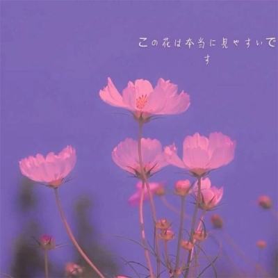璇玑辞手游(暂未上线)v1.1 安卓版